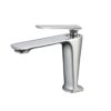 Countertop Faucet