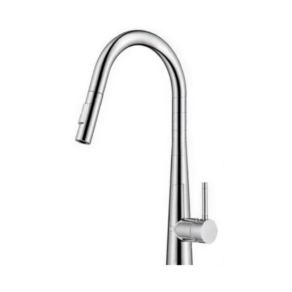 Kitchen Faucet