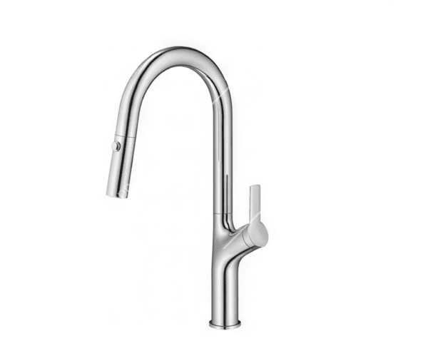 Kitchen Faucet